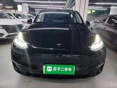Tesla Model Y Long Range All-Wheel Drive 3D7 - ფოტო 3