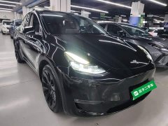 Tesla Model Y Long Range All-Wheel Drive 3D7 - ფოტო 4