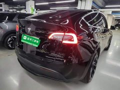 Tesla Model Y Long Range All-Wheel Drive 3D7 - ფოტო 7