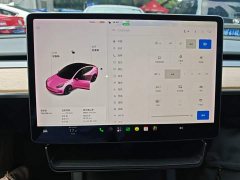 Tesla Model 3 Standard Range RWD Upgrade - ფოტო 12