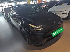 Tesla Model Y Rear-Wheel Drive - ფოტო 4