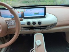 Wuling Binguo 2024 410km Lingxi Premium Edition - ფოტო 13
