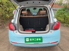 Wuling Binguo 2024 410km Lingxi Premium Edition - ფოტო 19