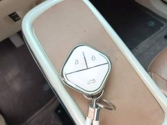 Wuling Binguo 2024 410km Lingxi Premium Edition - ფოტო 9