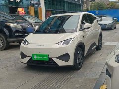 BYD Seagull Smart Driving Edition 305km Freedom Edition - ფოტო 1