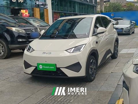 2025 BYD Seagull Smart Driving Edition 305km Freedom Edition - ავტომობილი ჩინეთიდან