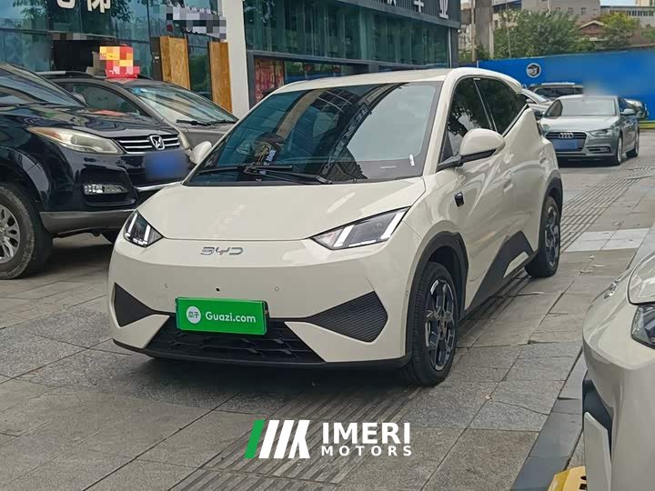 BYD Seagull Smart Driving Edition 305km Freedom Edition