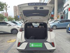 BYD Seagull Smart Driving Edition 305km Freedom Edition - ფოტო 19