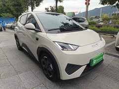 BYD Seagull Smart Driving Edition 305km Freedom Edition - ფოტო 4