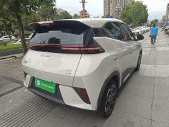 BYD Seagull Smart Driving Edition 305km Freedom Edition - ფოტო 7