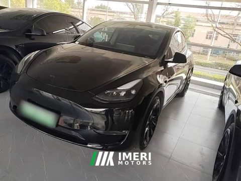 2021 Tesla Model Y Standard Range RWD - ავტომობილი ჩინეთიდან