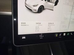 Tesla Model Y Standard Range RWD - ფოტო 12