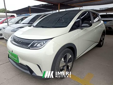 2023 BYD Dolphin 420km Fashion Edition - ავტომობილი ჩინეთიდან