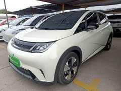 BYD Dolphin 420km Fashion Edition - ფოტო 2