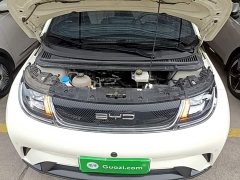 BYD Dolphin 420km Fashion Edition - ფოტო 20