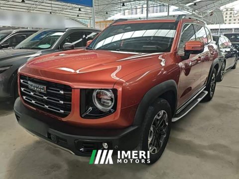 2022 Great Wall Dachshund 2021 2.0T DCT Four-Wheel Drive Chinese Rural Dog Edition - ავტომობილი ჩინეთიდან