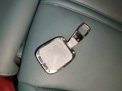 Zeekr Geely Zeekr X Rear-Wheel Drive YOU Edition 4-Seater - ფოტო 9
