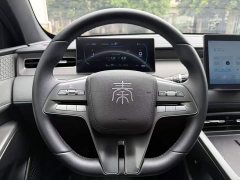 BYD Qin PLUS DM-i Smart Drive Edition 55KM Leading - ფოტო 3
