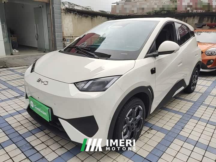 BYD Seagull 2025 Smart Driving Edition 305km Freedom Edition - ავტომობილი ჩინეთიდან