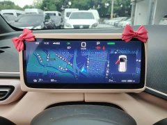 BYD Seagull 2025 Smart Driving Edition 305km Freedom Edition - ფოტო 12