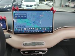 BYD Seagull 2025 Smart Driving Edition 305km Freedom Edition - ფოტო 13