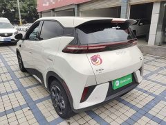 BYD Seagull 2025 Smart Driving Edition 305km Freedom Edition - ფოტო 5