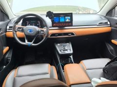 BYD e2 Luxury - ფოტო 10