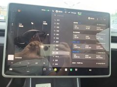 Tesla Model Y Rear-Wheel Drive Launch Edition - ფოტო 13