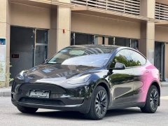 Tesla Model Y 2023 Long Range All-Wheel Drive - ფოტო 1