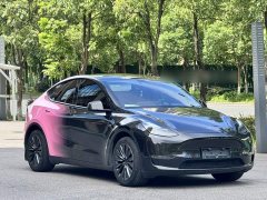 Tesla Model Y 2023 Long Range All-Wheel Drive - ფოტო 16
