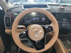 AITO Wenjie M9 Extended Range Ultra 52kWh 6-Seater with 192-Line LiDAR - ფოტო 6