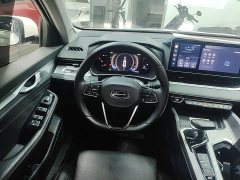 Geely Xingrui 2.0T Diesel Luxury - ფოტო 11