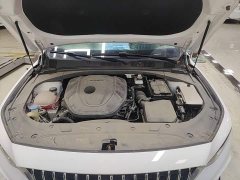Geely Xingrui 2.0T Diesel Luxury - ფოტო 20