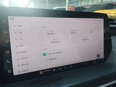 XPeng P7 P7i 702 Pro - ფოტო 8