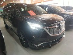 Buick GL8 ES Land Respect 653T Respect Enjoyment Edition - ფოტო 4