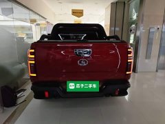 Xpeng Cannon 2020 2.0T Off-road Auto Gasoline 4WD Advanced GW4C20B - ფოტო 4