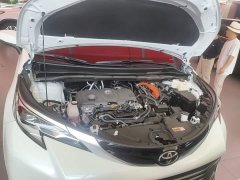 Toyota Sienna 2.5L Hybrid AWD Premium - ფოტო 16
