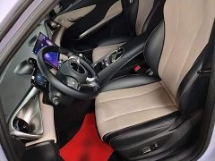 BYD Dolphin 420km Fashion Edition - ფოტო 11