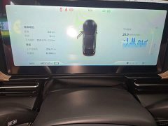 XPeng P5 2022 460E - ფოტო 12