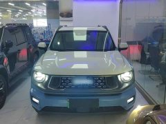 Haval Big Dog PLUS New Energy DHT-PHEV 105km Trendy Electric Edition Plus - ფოტო 3