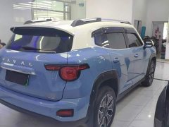 Haval Big Dog PLUS New Energy DHT-PHEV 105km Trendy Electric Edition Plus - ფოტო 7