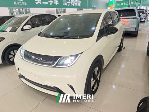 2023 BYD Dolphin 420km Freedom Edition - ავტომობილი ჩინეთიდან