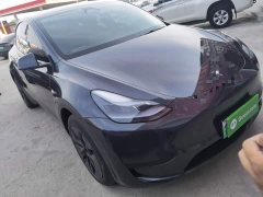 Tesla Model Y Rear-Wheel Drive - ფოტო 4