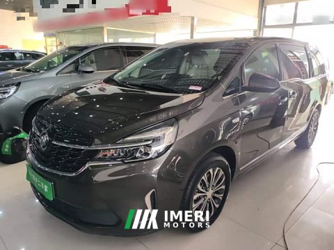 2022 Buick GL8 2021 Land Business Class 652T Luxury - ავტომობილი ჩინეთიდან