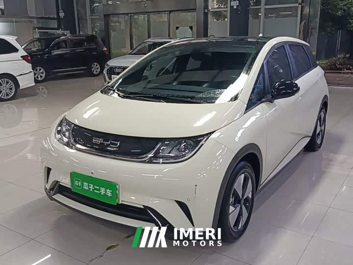 BYD Dolphin 420km Fashion Edition - ავტომობილი ჩინეთიდან