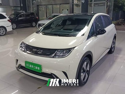 2023 BYD Dolphin 420km Fashion Edition - ავტომობილი ჩინეთიდან