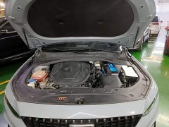 Geely Xingrui 2023 2.0T Diesel Space Edition - ფოტო 20