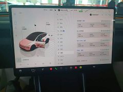 Tesla Model Y Long Range All-Wheel Drive - ფოტო 12