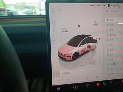 Tesla Model Y Long Range All-Wheel Drive - ფოტო 14