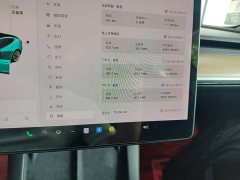 Tesla Model 3 Standard Range RWD Upgrade - ფოტო 12